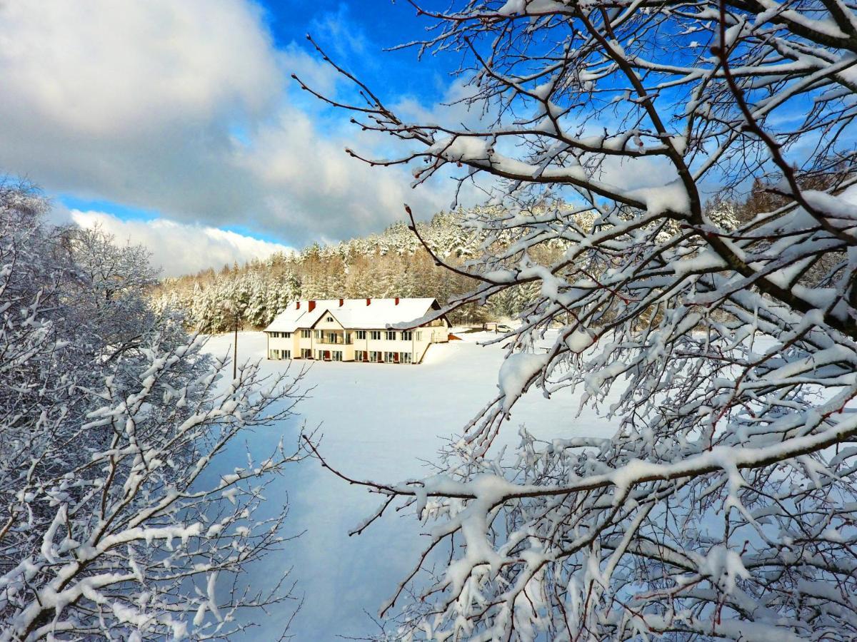 Dwor I Dworek Leszczowate Wellness & Spa Ustrzyki Dolne Exterior foto